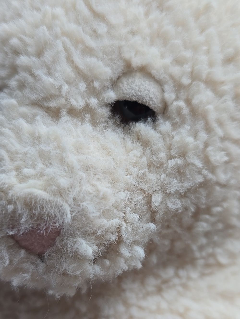 🐇Jellycat Amore Bunny Cream AM2B 10” Plush Rabbit - Picture 7 of 14